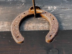 IMG_20250112_141029453_PORTRAIT (2).jpg IMG_20250112_141029453_PORTRAIT (2).jpg