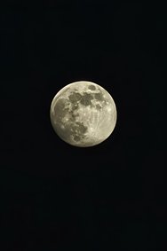 IMG_20250112_164800.jpg