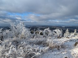 PXL_20250112_132811661.jpg