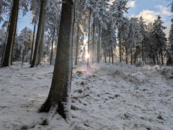 PXL_20250112_131715514.jpg