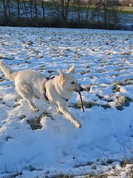 IMG_20250112_100030_3.jpg