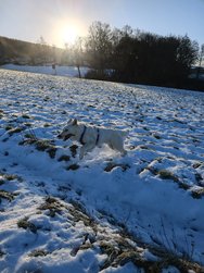IMG_20250112_100105_3.jpg