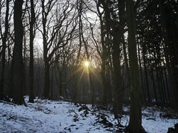 IMG_20250112_142018_839.jpg