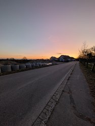 PXL_20250112_160437951.jpg
