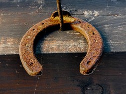 IMG_20250112_141029453_PORTRAIT.jpg IMG_20250112_141029453_PORTRAIT.jpg