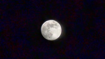 PXL_20250112_170534567.jpg