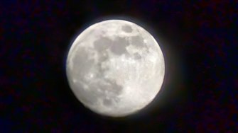 PXL_20250112_170534567~2.jpg