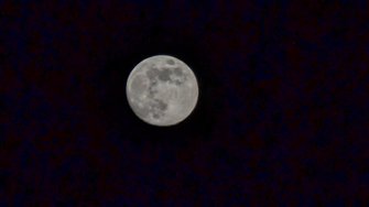 PXL_20250112_170548539.jpg