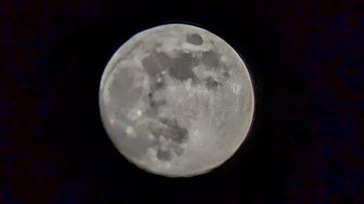 PXL_20250112_170548539~2.jpg