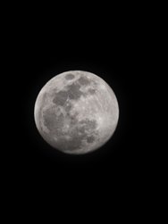 IMG_20250112_193738.jpg