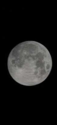 IMG_20250113_060628.jpg