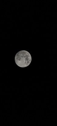 IMG_20250113_060648.jpg