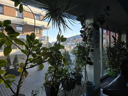20250113_135056.jpg