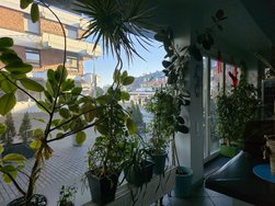 20250113_135109.jpg