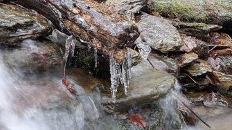 PXL_20250113_103353320.LONG_EXPOSURE-01.COVER.jpg