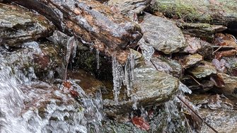 PXL_20250113_103353320.LONG_EXPOSURE-02.ORIGINAL.jpg