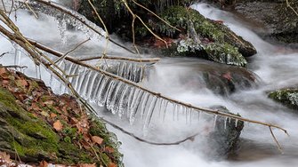 PXL_20250113_103827889.LONG_EXPOSURE-01.COVER.jpg