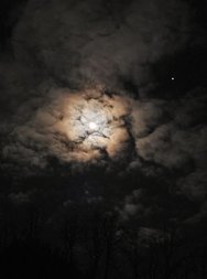 20250111_191204.jpg