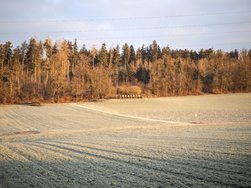 javav53srp_20250112_083158067.jpg