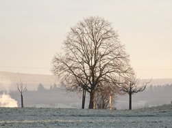 javav53srp_20250112_083402825.jpg