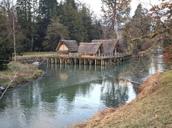javav53srp_20250113_164535355.jpg