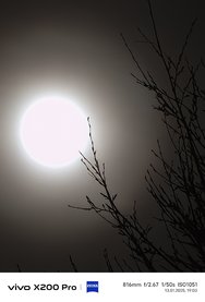 IMG_20250113_190310.jpg