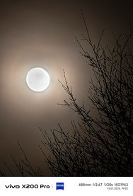 IMG_20250113_190248.jpg