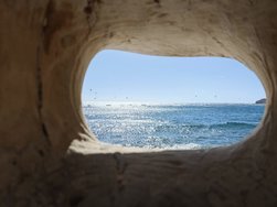 IMG_20250113_115440.jpg
