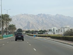 PXL_20250101_101852197.jpg