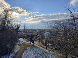 IMG_20250111_143947.jpg