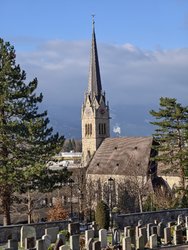 IMG_20250111_144518.jpg