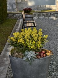 IMG_20250111_150706.jpg