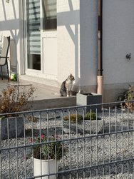 IMG-20250114-WA0039.jpg