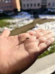 IMG_20250113_135402.jpg