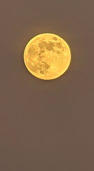 PXL_20250113_155615214~2.jpg