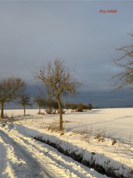 IMG_7291.jpeg