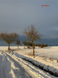 IMG_7289.jpeg