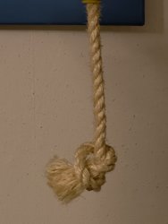 IMG_20250114_180625.jpg