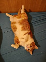 IMG_20250114_173253.jpg