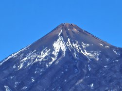 IMG_20250115_151301.jpg