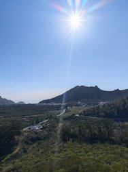 IMG_20250115_151545.jpg