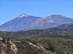 IMG_20250115_152108.jpg