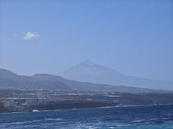 IMG_20250115_130128.jpg
