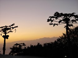 IMG_20250115_185649.jpg