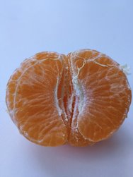 1737028183975.jpg