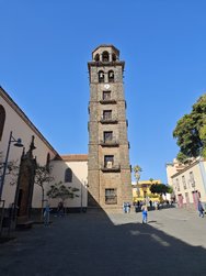 IMG_20250116_113827.jpg