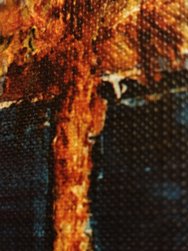 IMG20250116182759.jpg