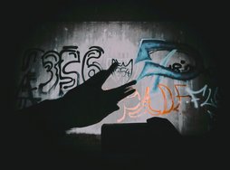 1737054369512.jpg