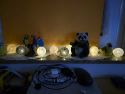 20250116_214357.jpg