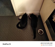 IMG20250117075531.jpg